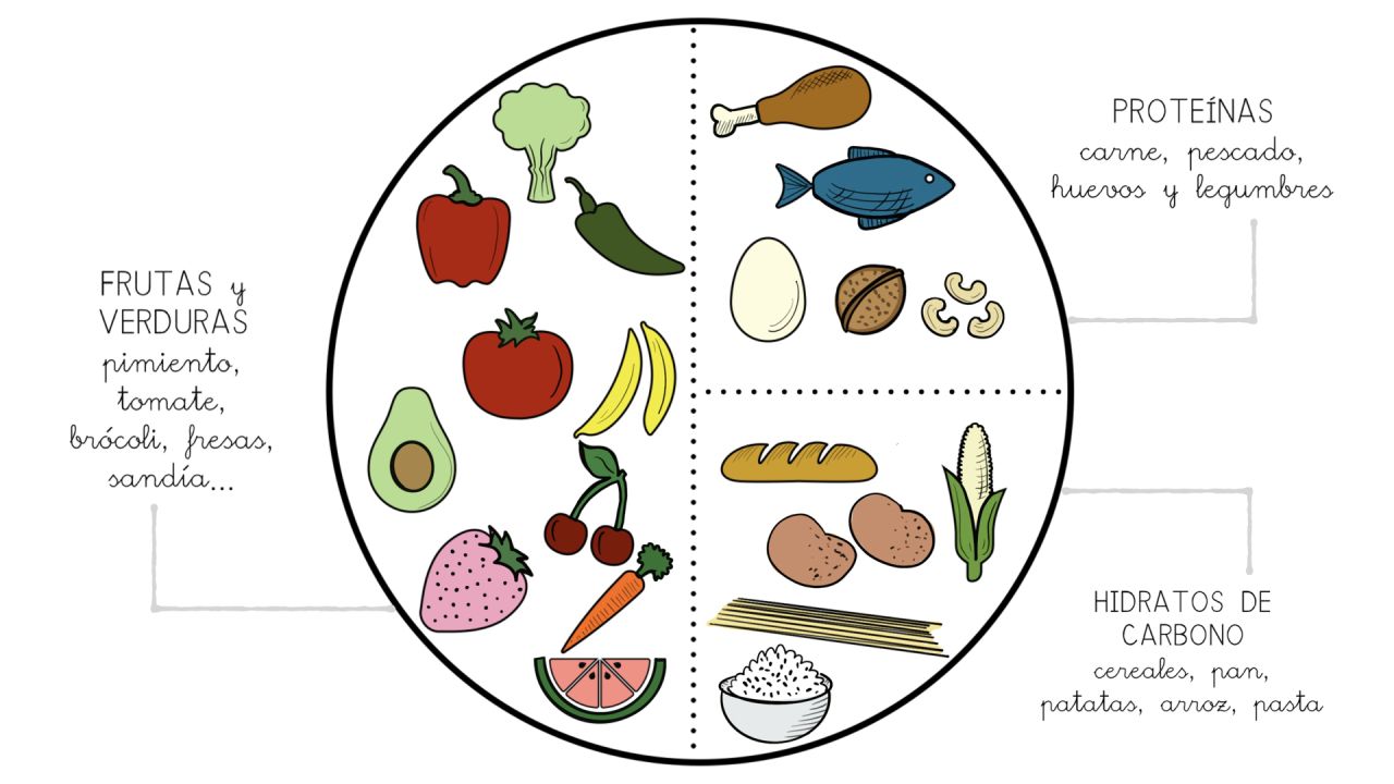 IMAGEN DE UN CÍRCULO DIVIDIDO EN TRES PARTES: UN MEDIO Y DOS CUARTOS. EN LA PARTE MAYOR HAY FRUTAS Y VERDURAS, EN UNA DE UN CUARTO CARNE, PESCADO, HUEVOS Y LEGUMBRES Y EN EL TERCER ESPACIO PAN, ARROZ, PATATAS, PASTA Y CEREALES.